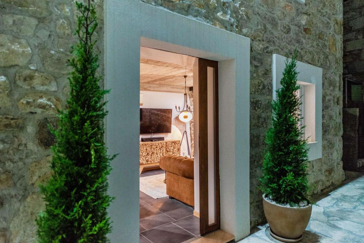 Villa Planita Dalmacija Novigrad  Bagian luar foto