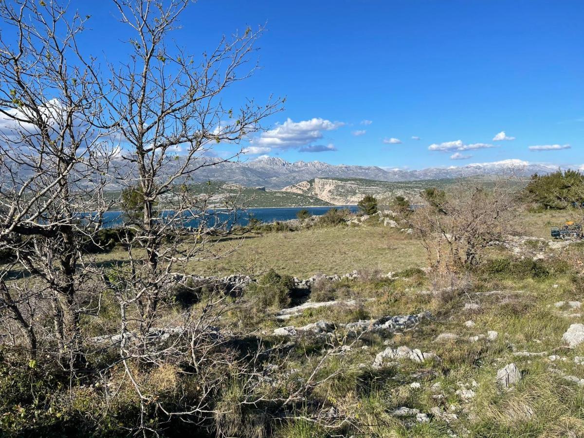 Villa Planita Dalmacija Novigrad  Bagian luar foto